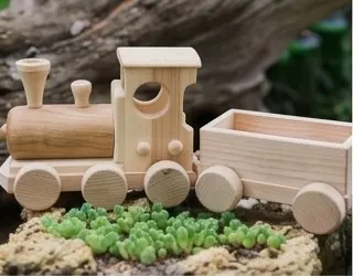 Wooden toy train